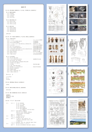 発掘調査報告書PDFダウンロードページへ