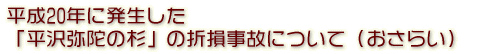 平成20年に発生した「平沢弥陀の杉」の折損事故について(おさらい)